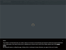 Tablet Screenshot of lecrans.com